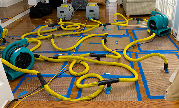 Professional Structural Drying And Dehumidification technician working in Lyles, TN